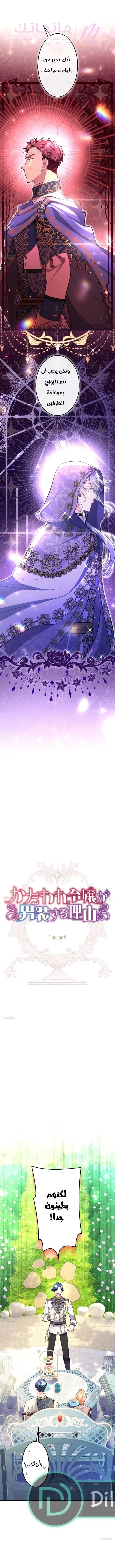 الصفحة 3