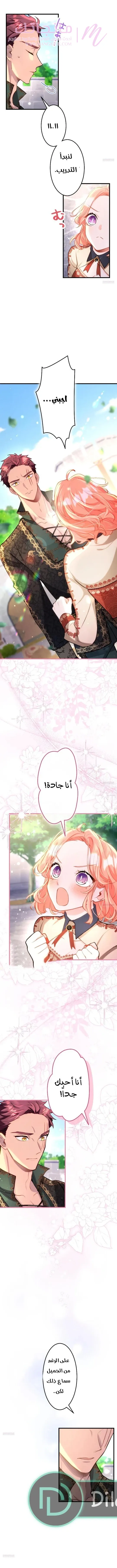 الصفحة 11