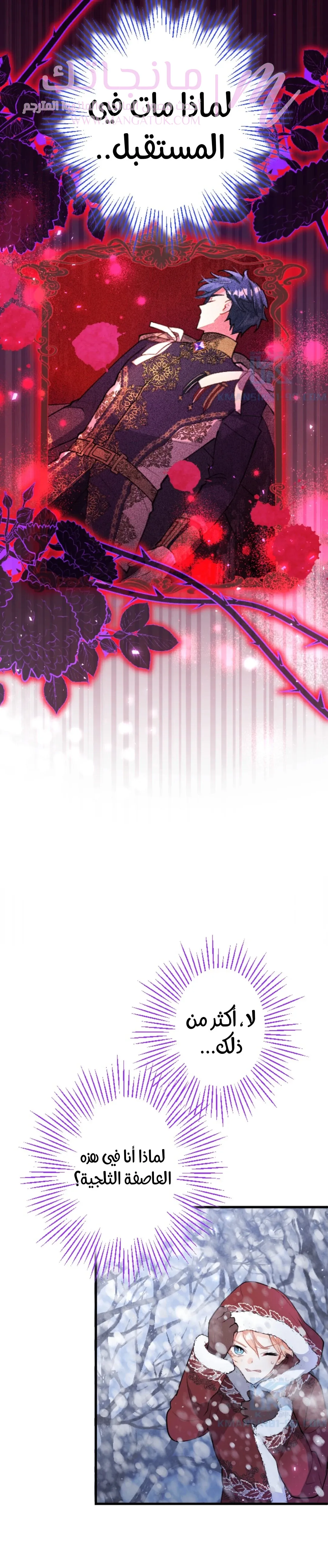 الصفحة 31