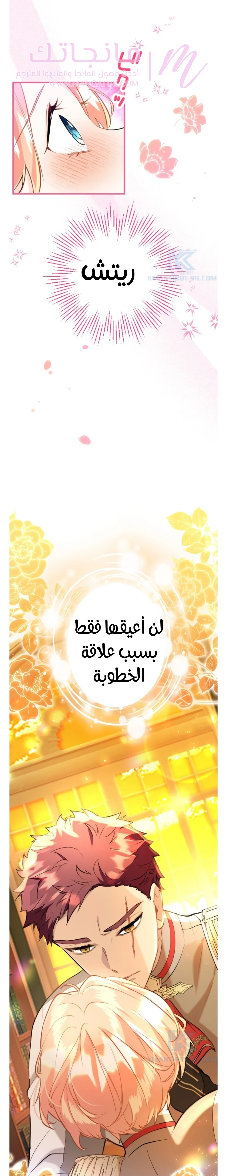 الصفحة 25