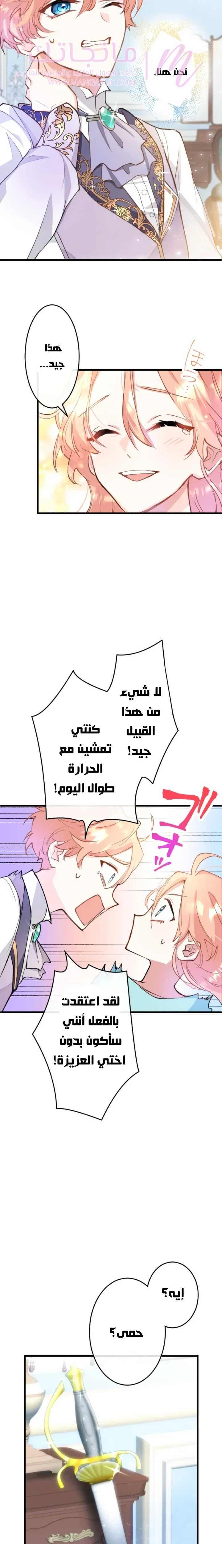الصفحة 19