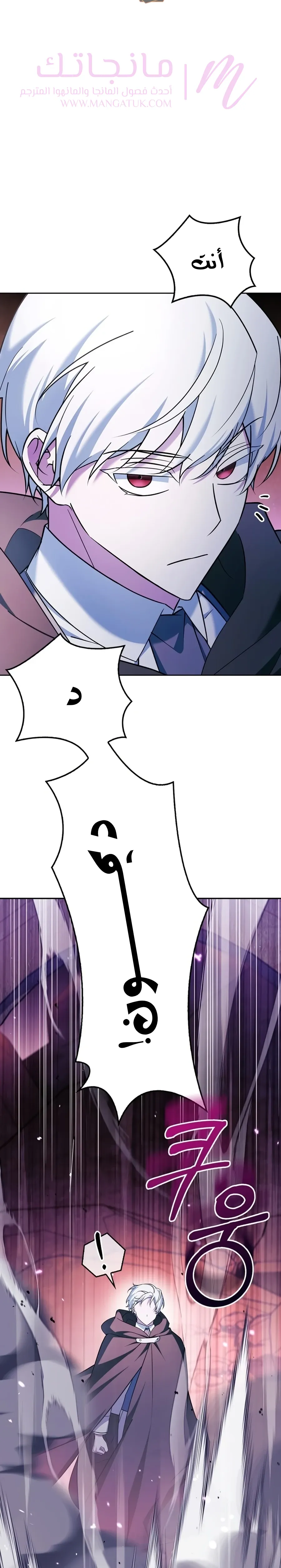 الصفحة 29