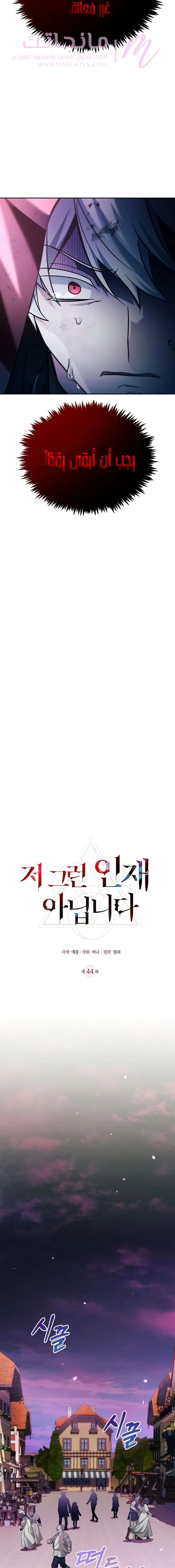 الصفحة 19