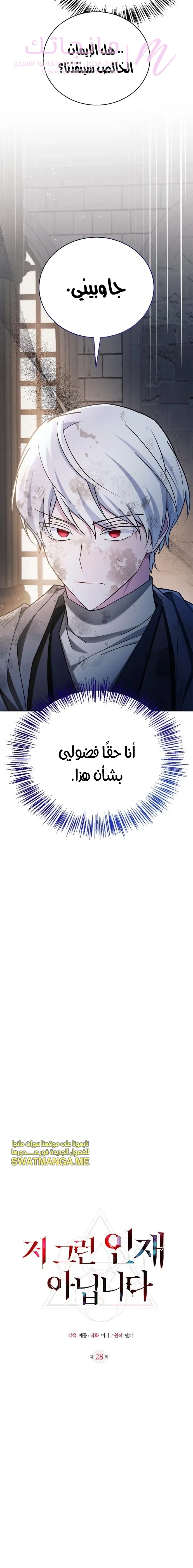 الصفحة 17