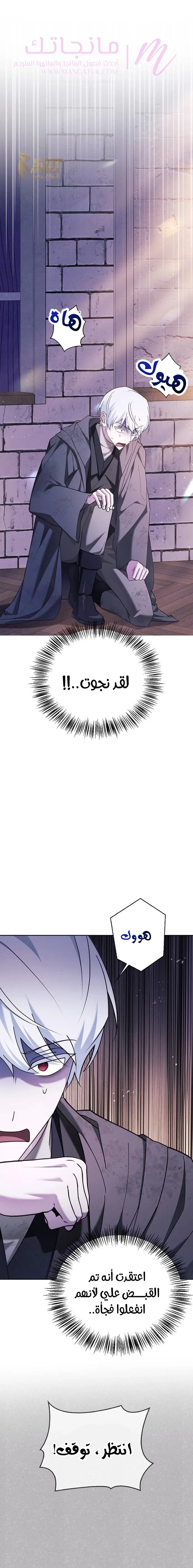 الصفحة 27
