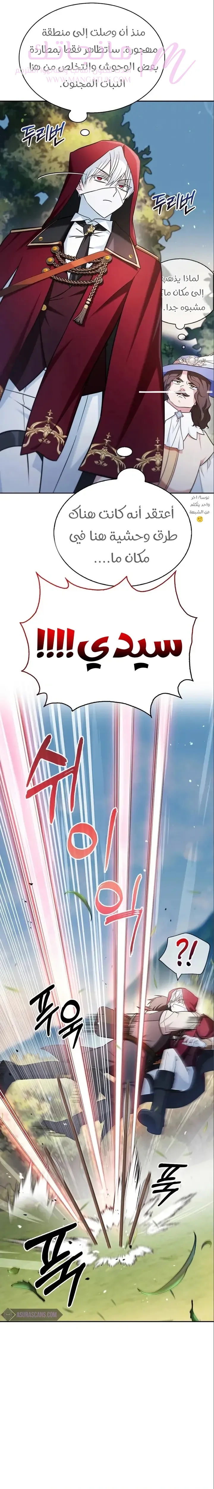 الصفحة 29