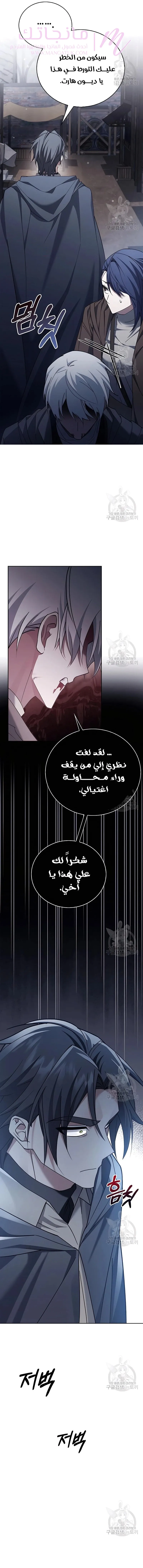 الصفحة 17