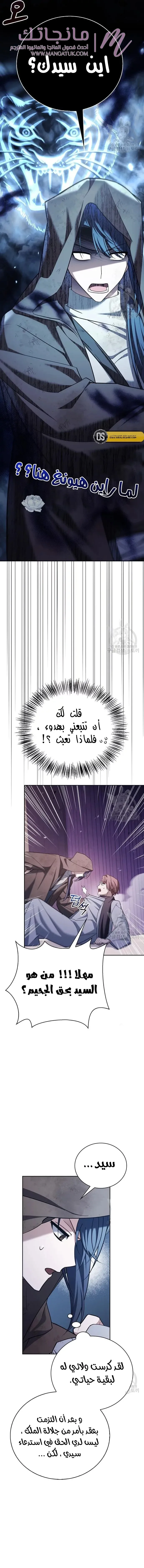 الصفحة 13