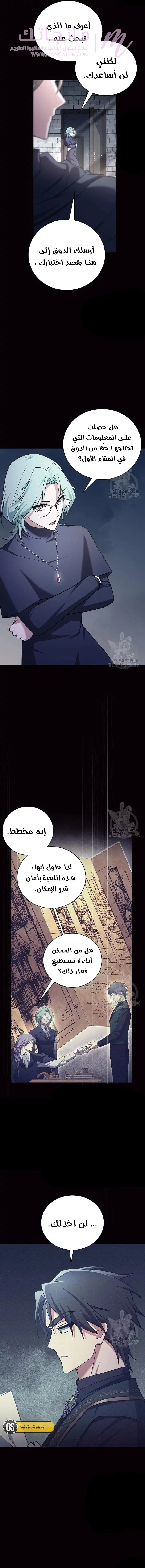 الصفحة 17