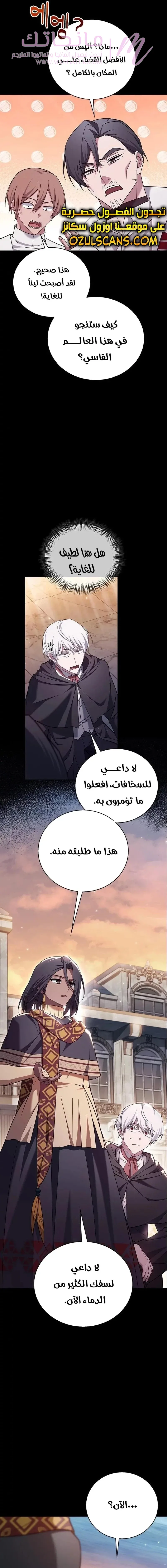 الصفحة 17
