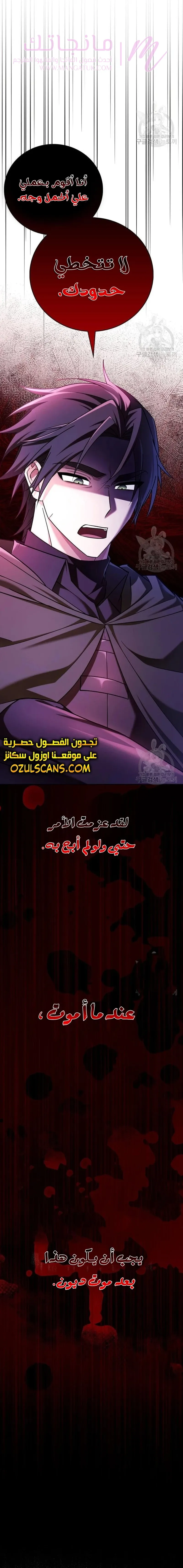 الصفحة 29