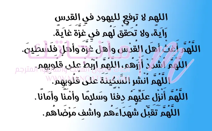 الصفحة 24