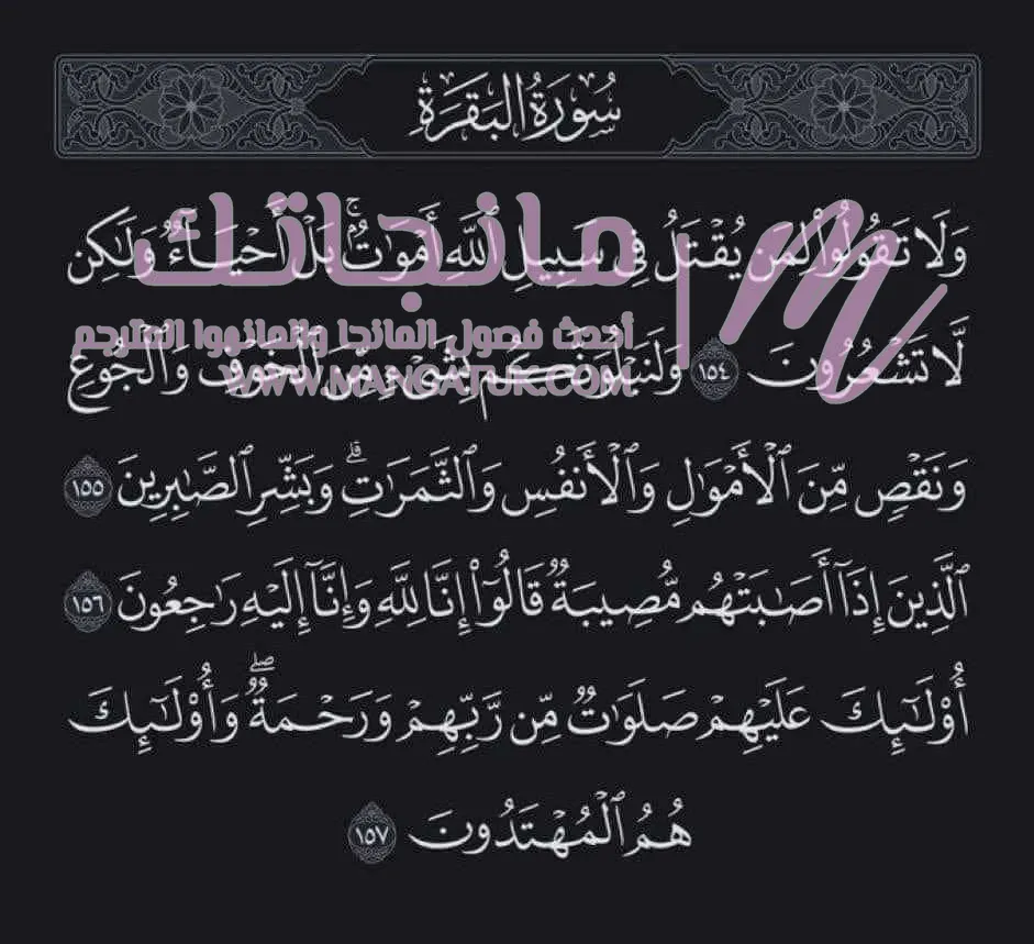 الصفحة 25