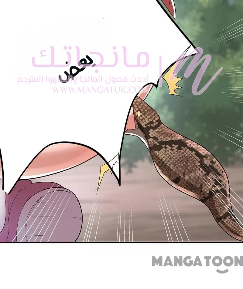 الصفحة 28
