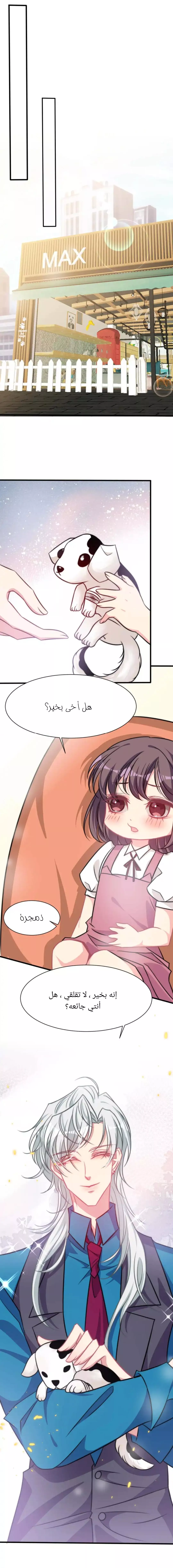 الصفحة 14