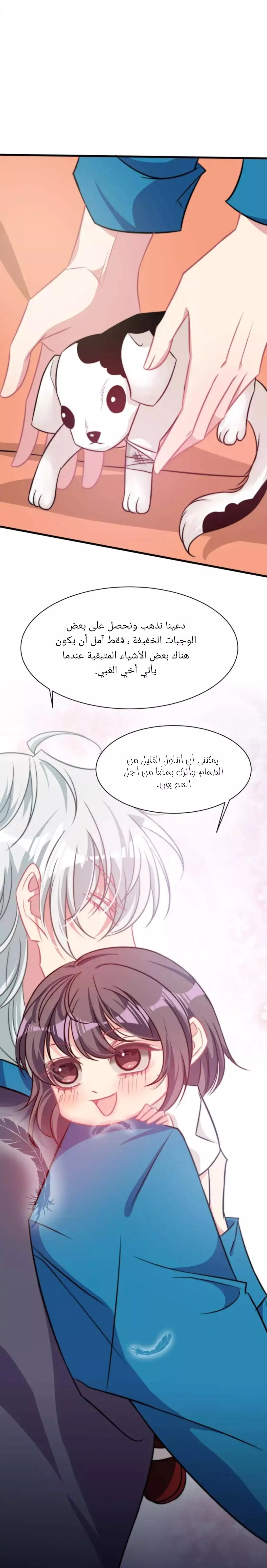 الصفحة 15