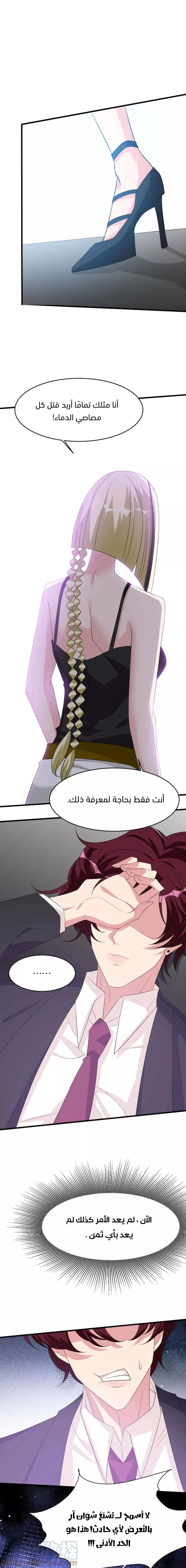 الصفحة 17