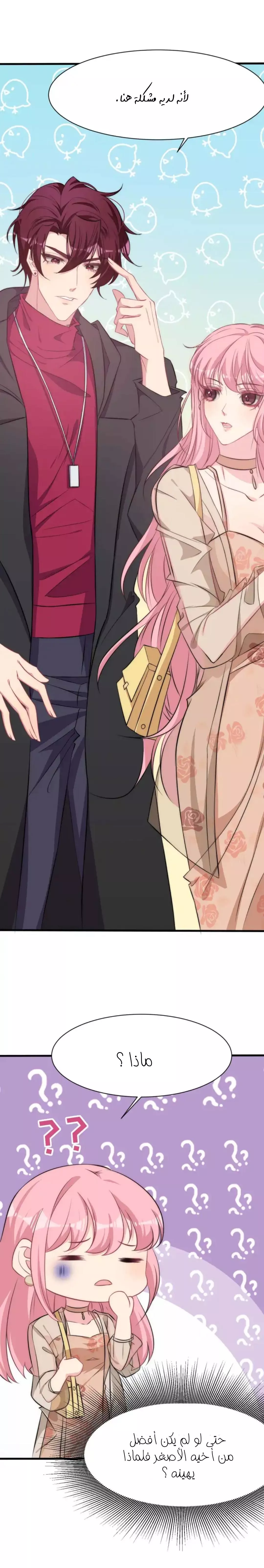 الصفحة 13