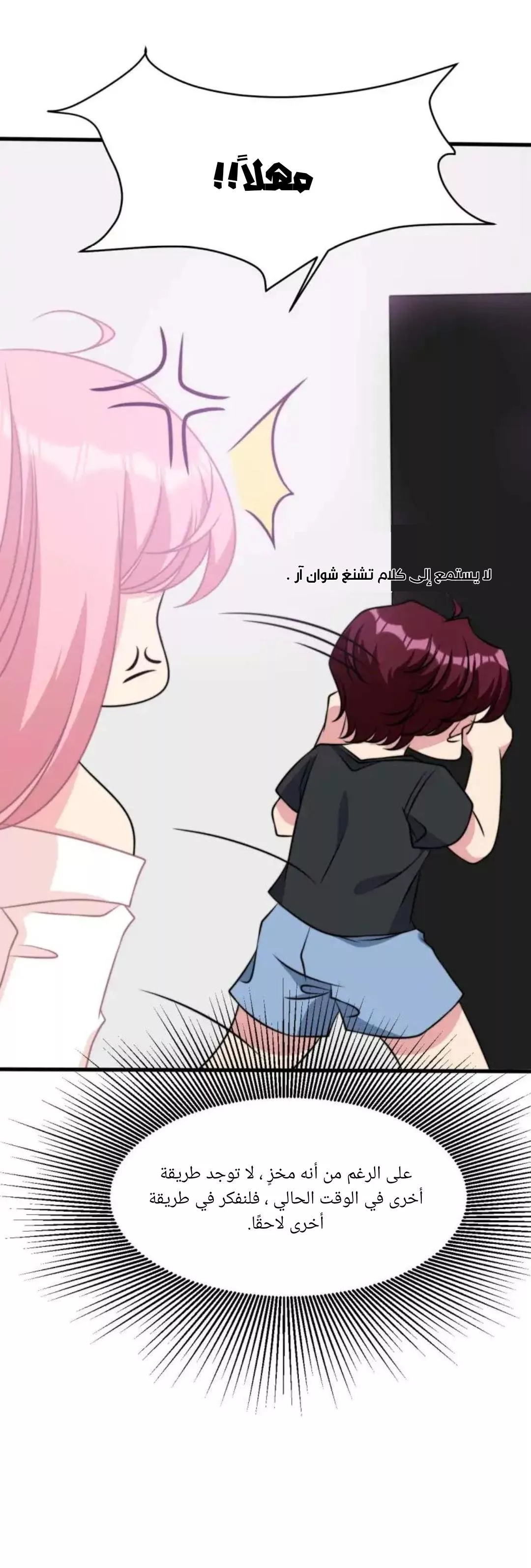 الصفحة 13