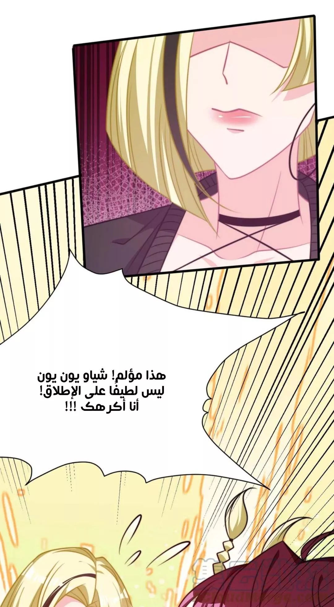 الصفحة 17