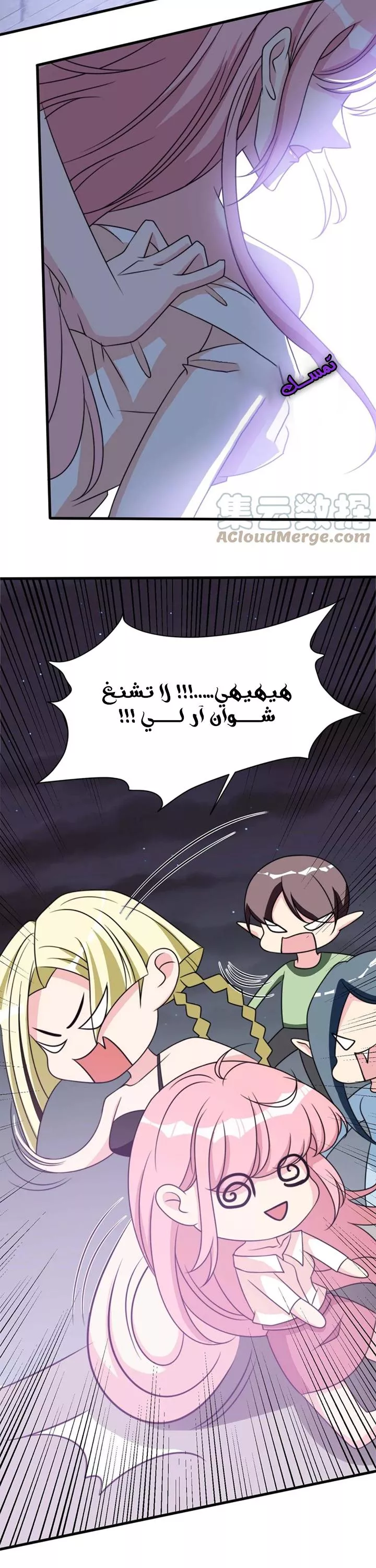 الصفحة 17