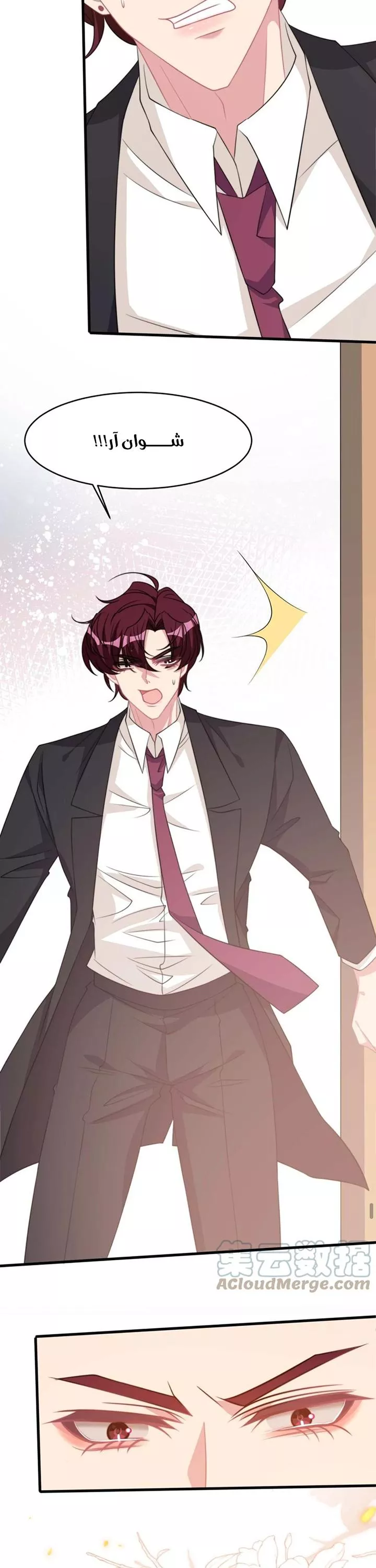 الصفحة 40