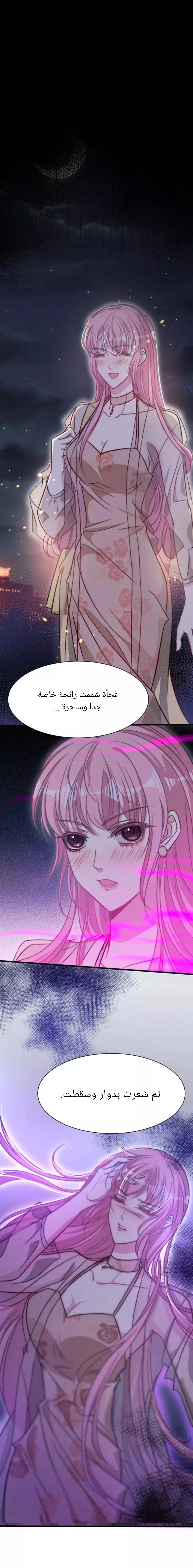 الصفحة 19