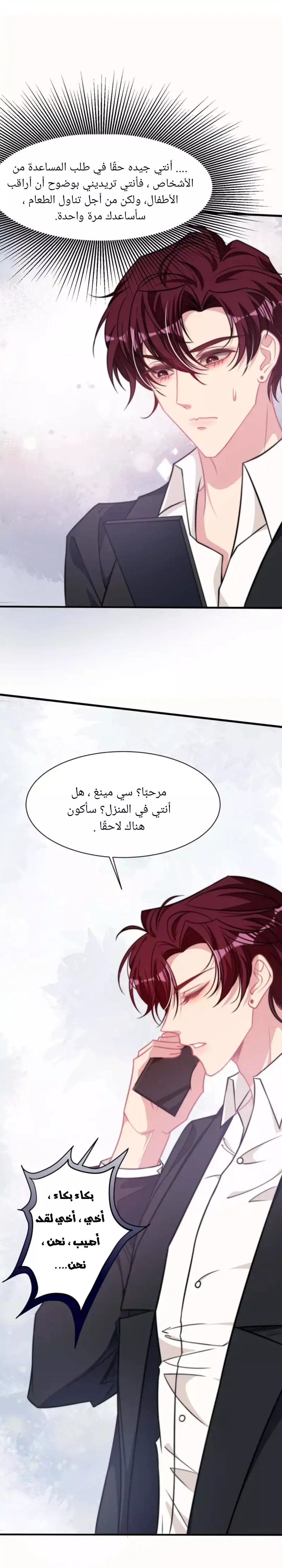 الصفحة 25
