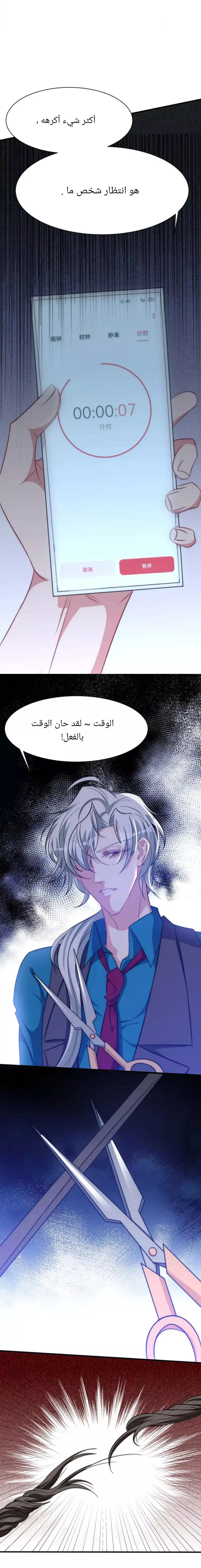 الصفحة 13