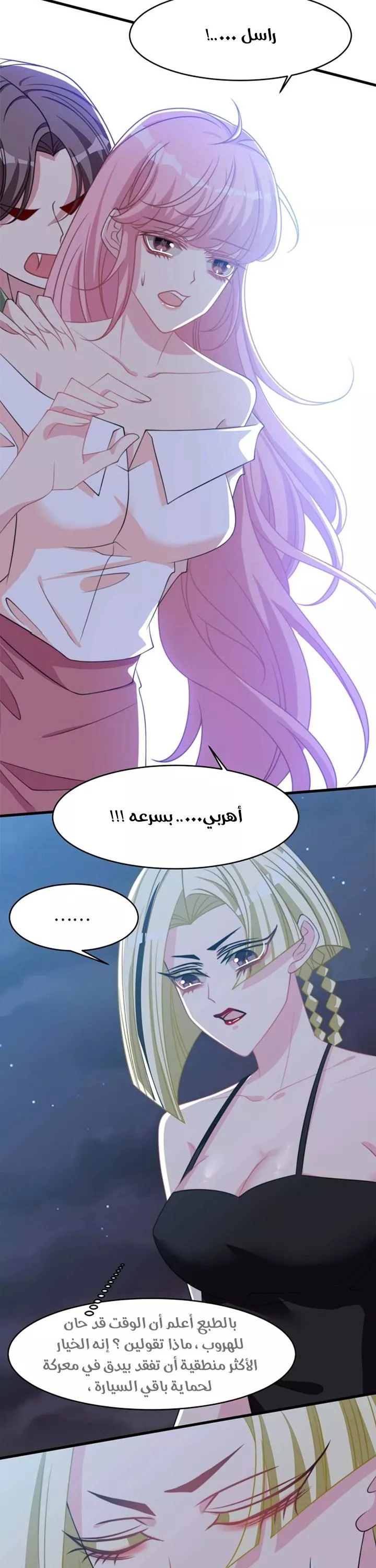 الصفحة 13