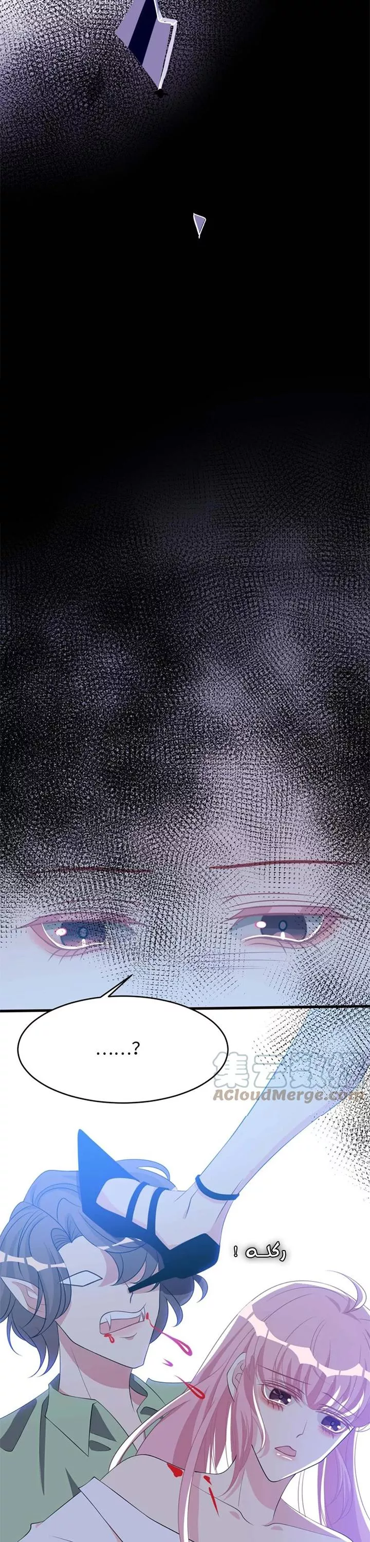 الصفحة 17