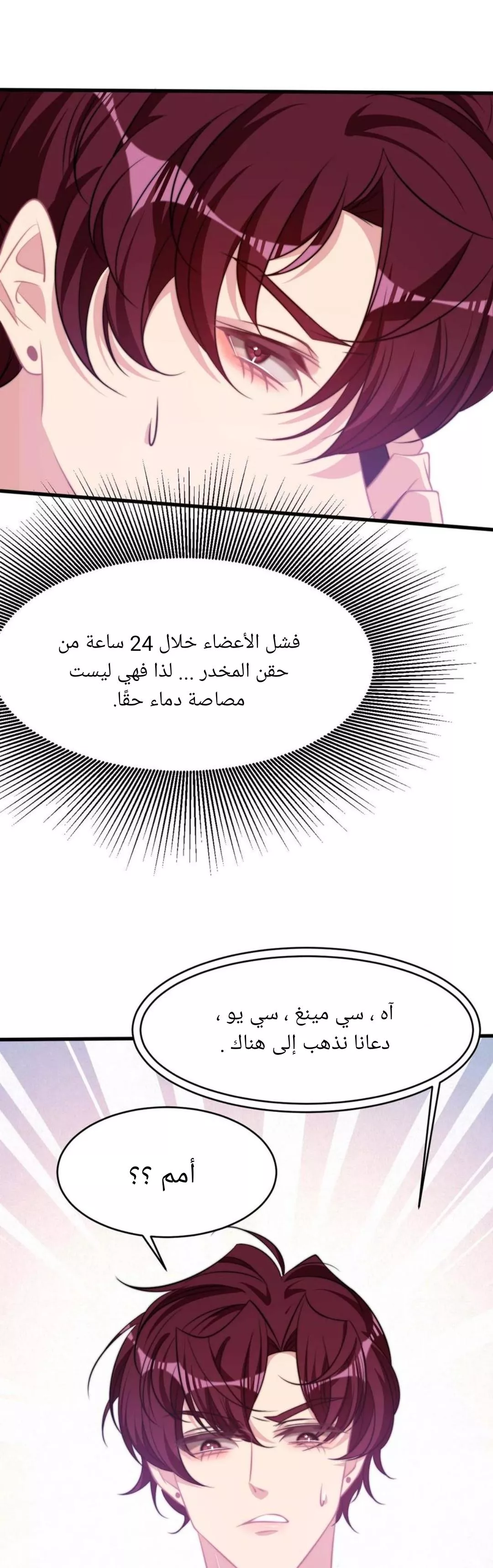 الصفحة 17