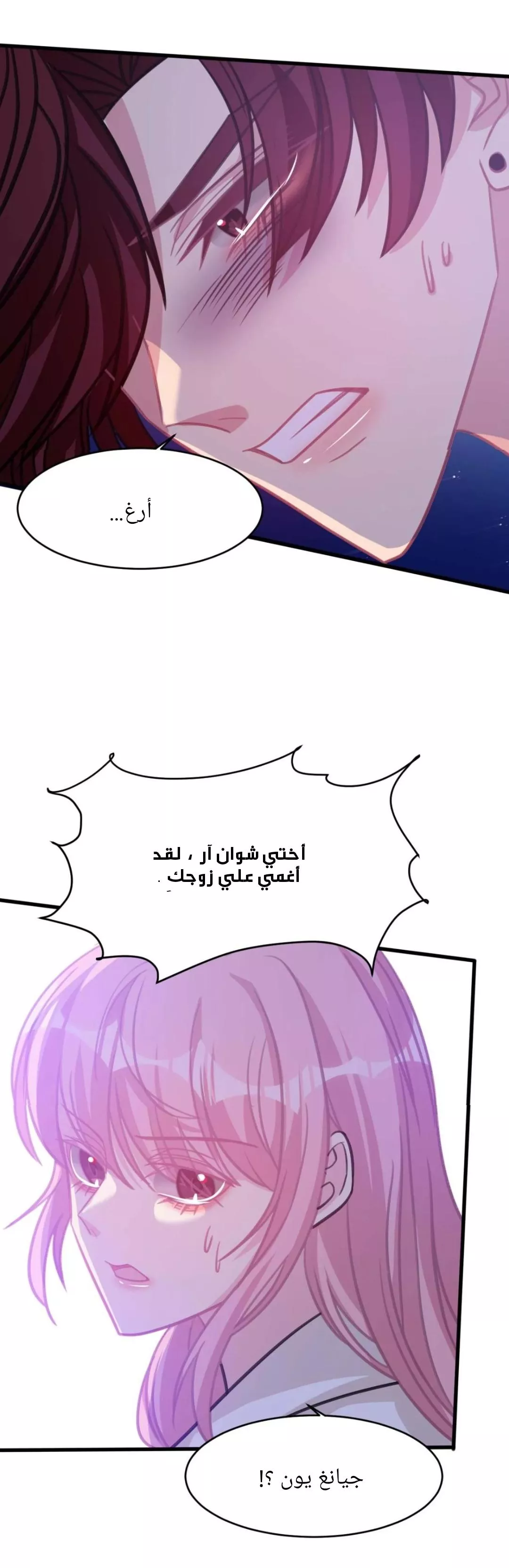 الصفحة 17