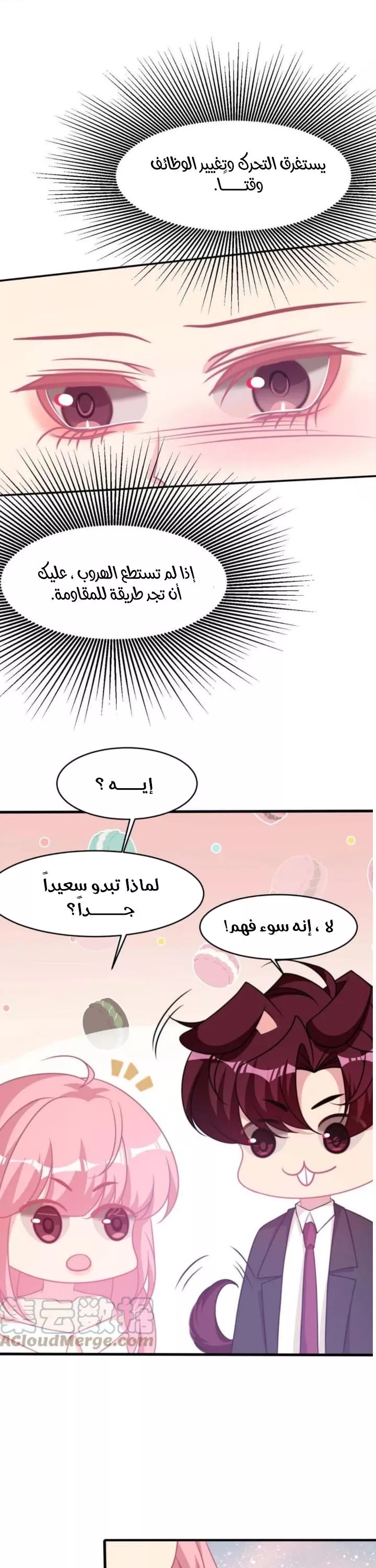 الصفحة 8
