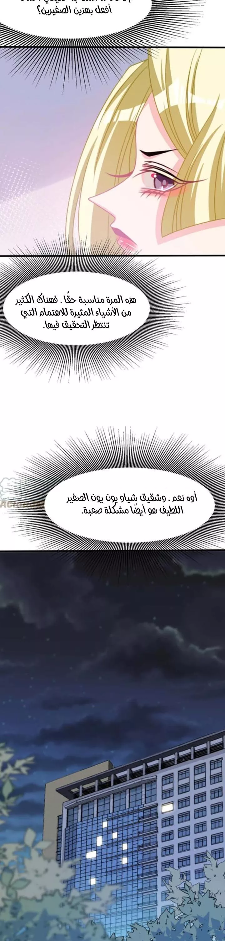 الصفحة 17