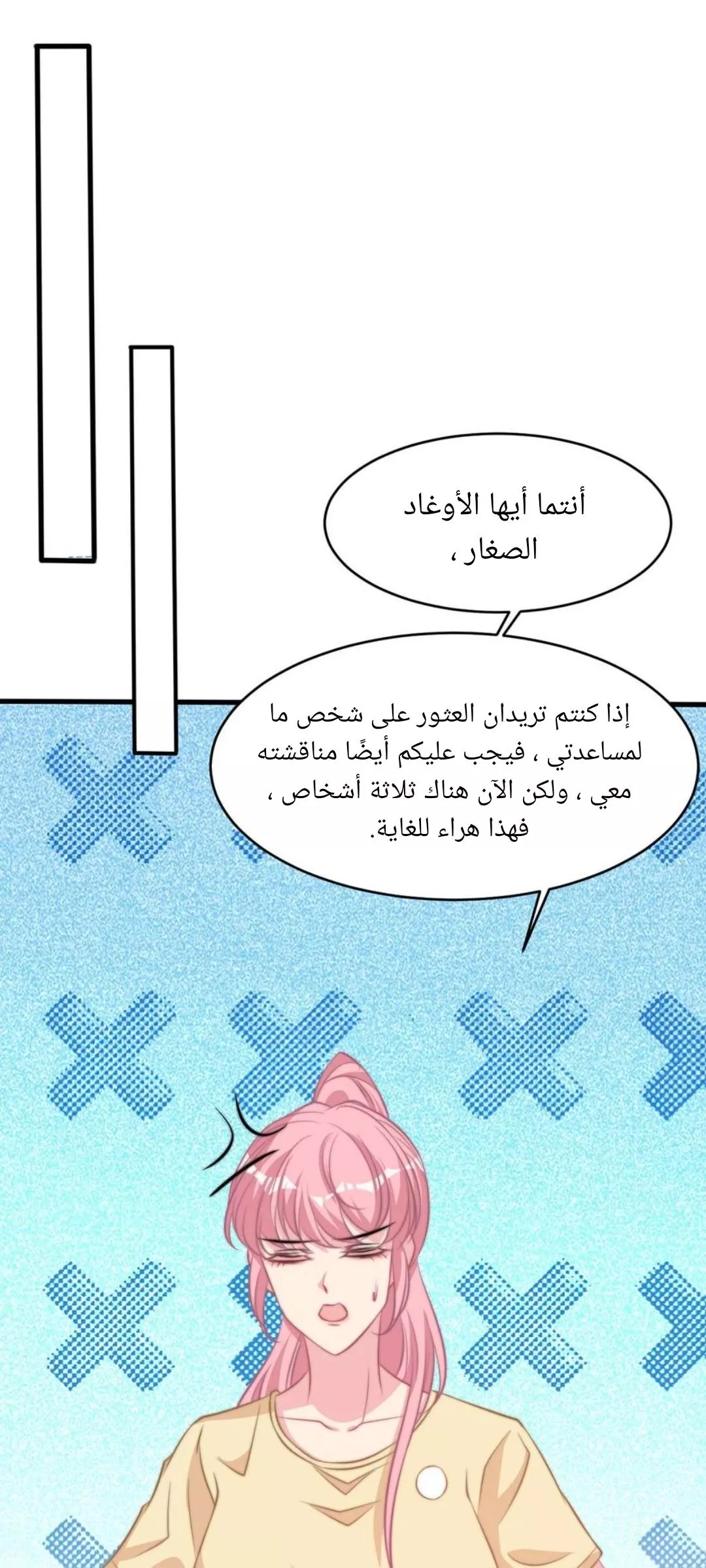 الصفحة 17