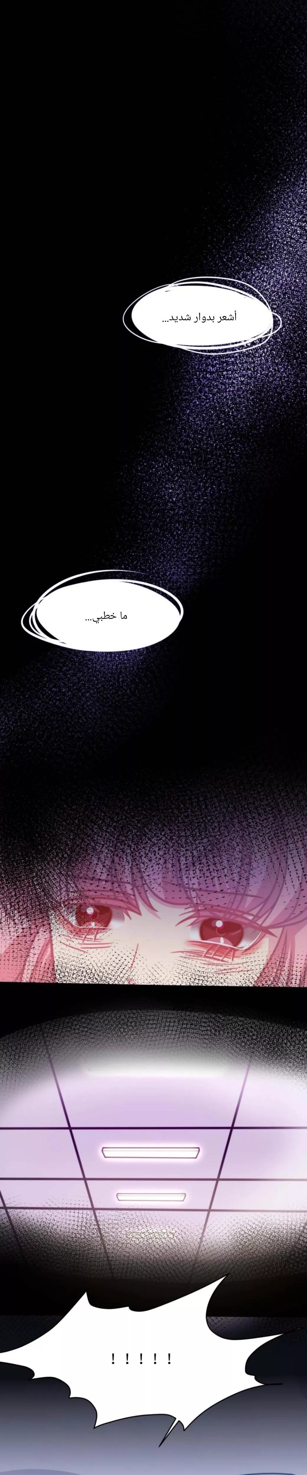 الصفحة 19