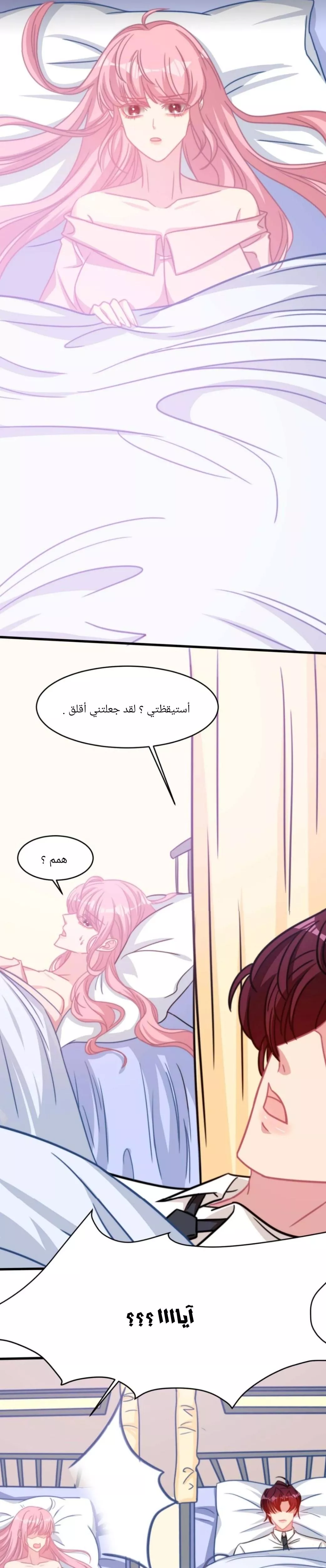 الصفحة 20