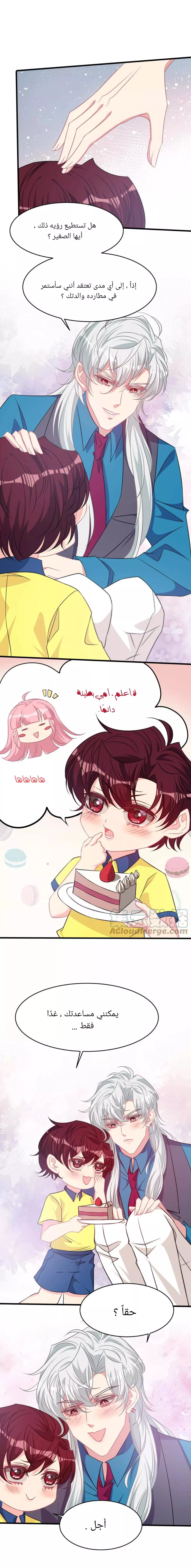 الصفحة 17