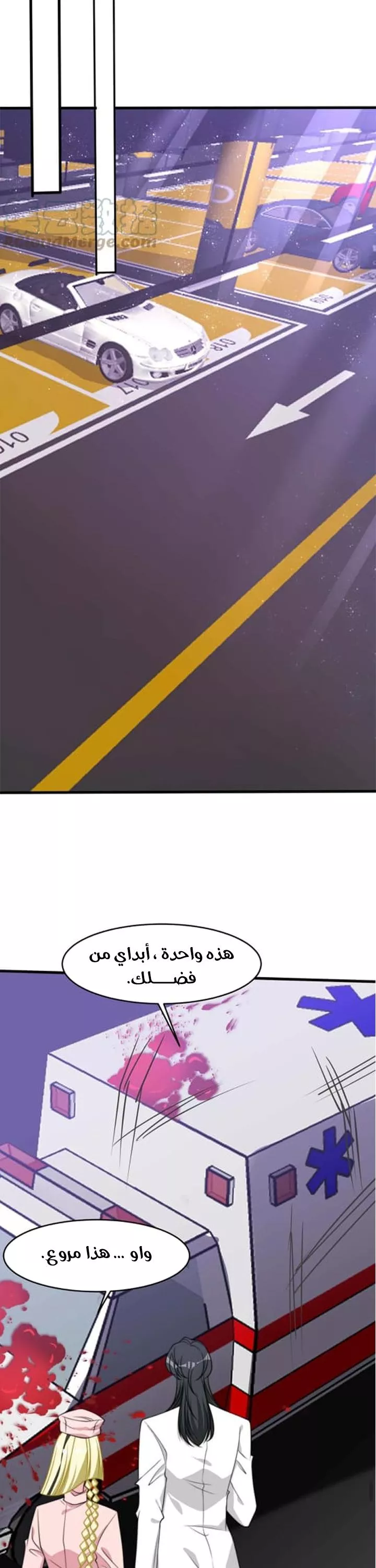 الصفحة 13