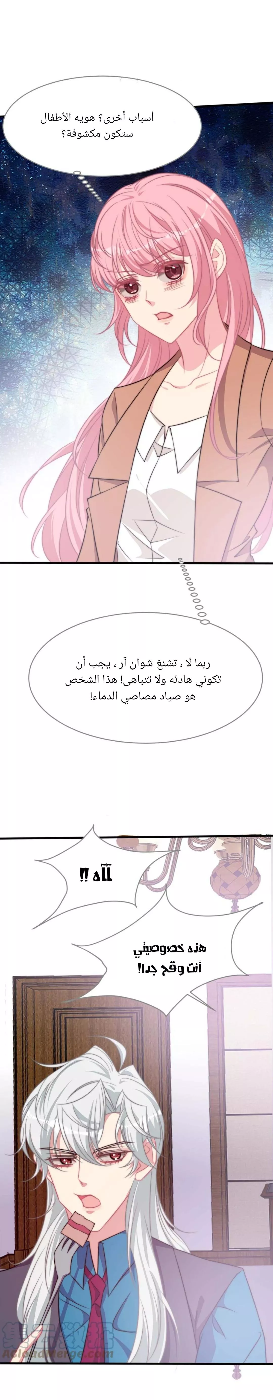الصفحة 14