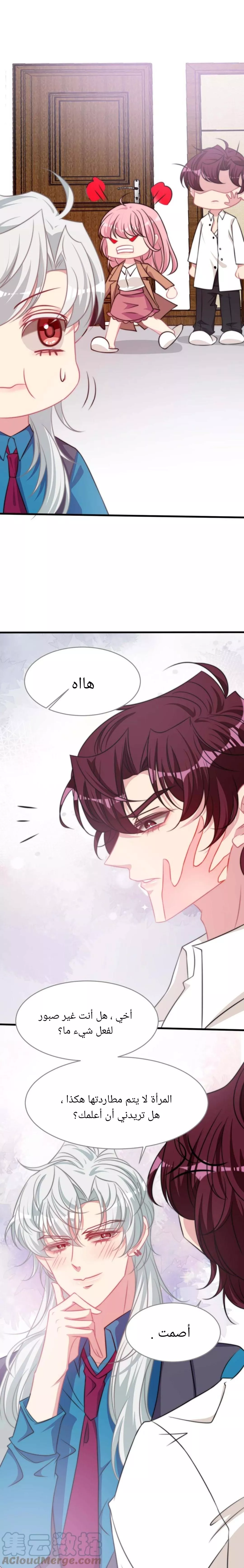 الصفحة 15