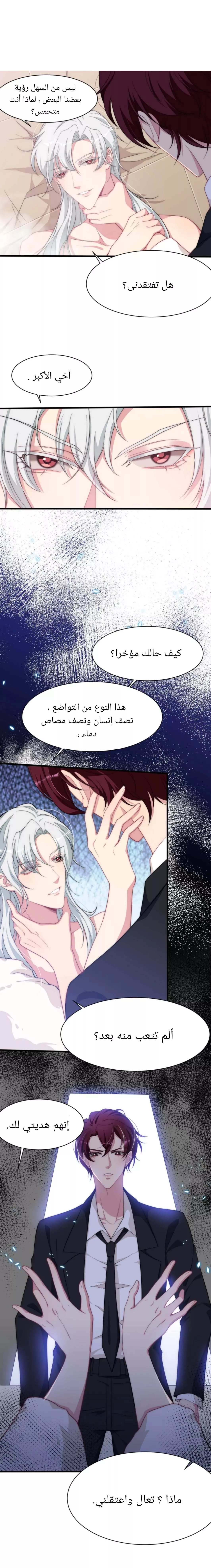 الصفحة 14