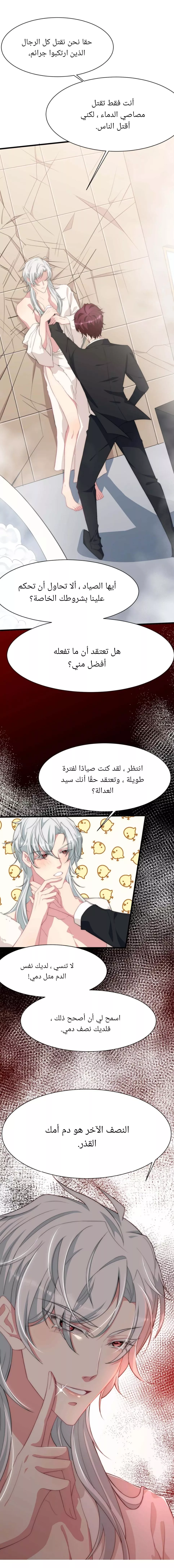 الصفحة 17