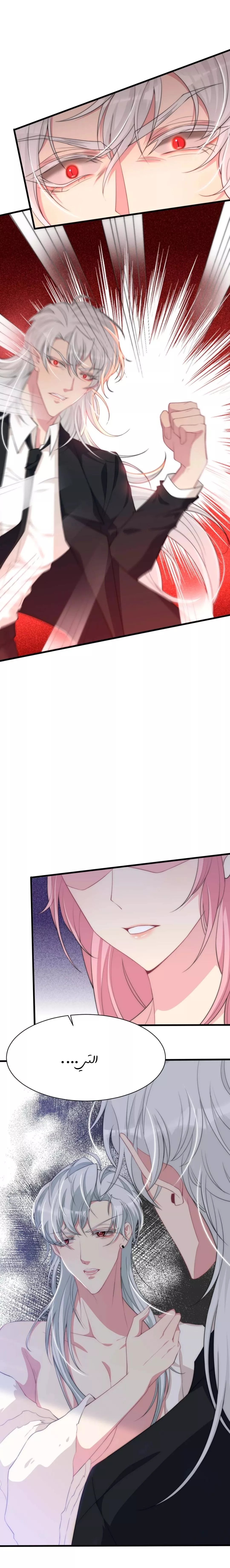 الصفحة 19