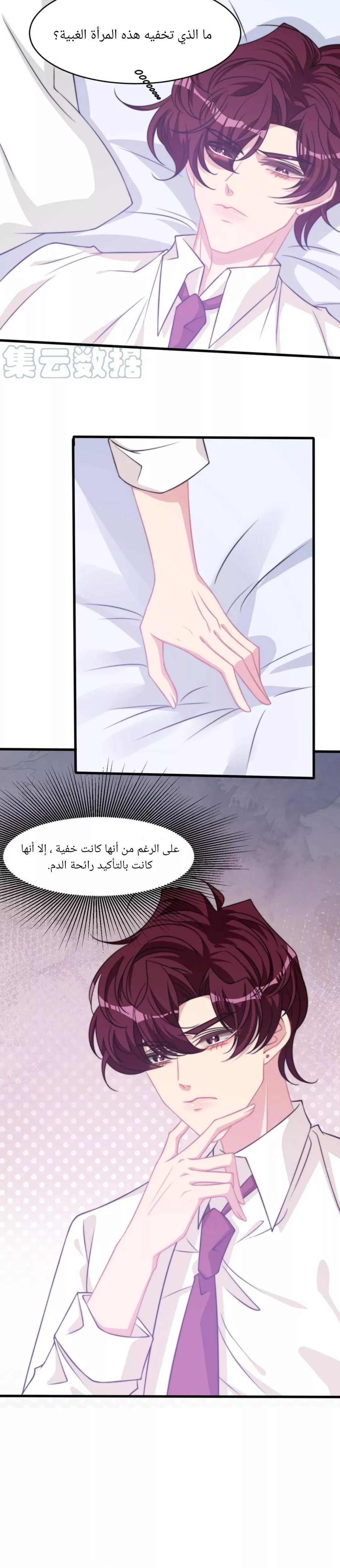 الصفحة 17