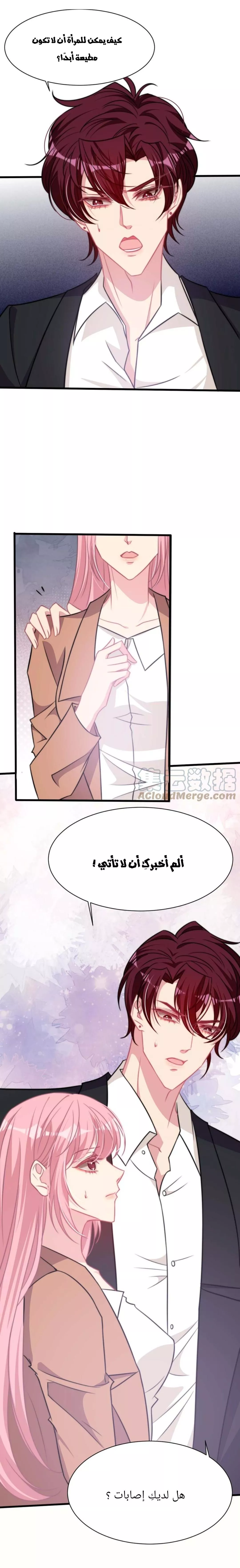 الصفحة 7