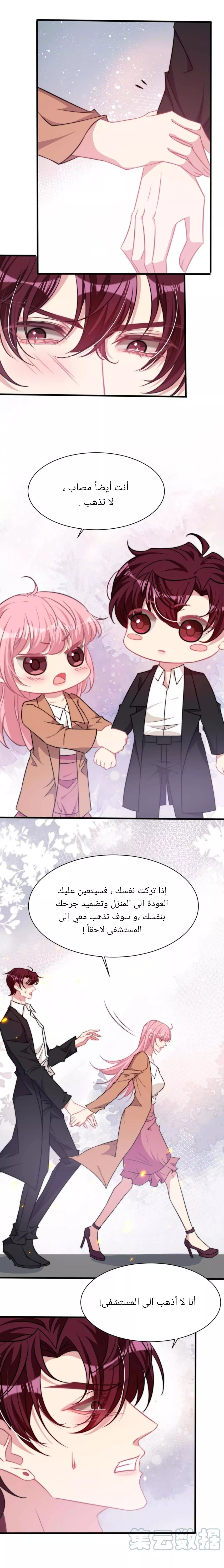 الصفحة 11