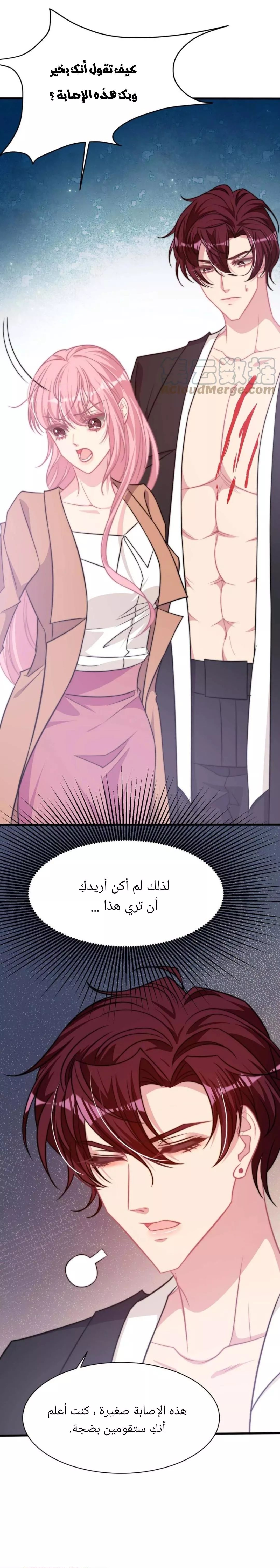الصفحة 16