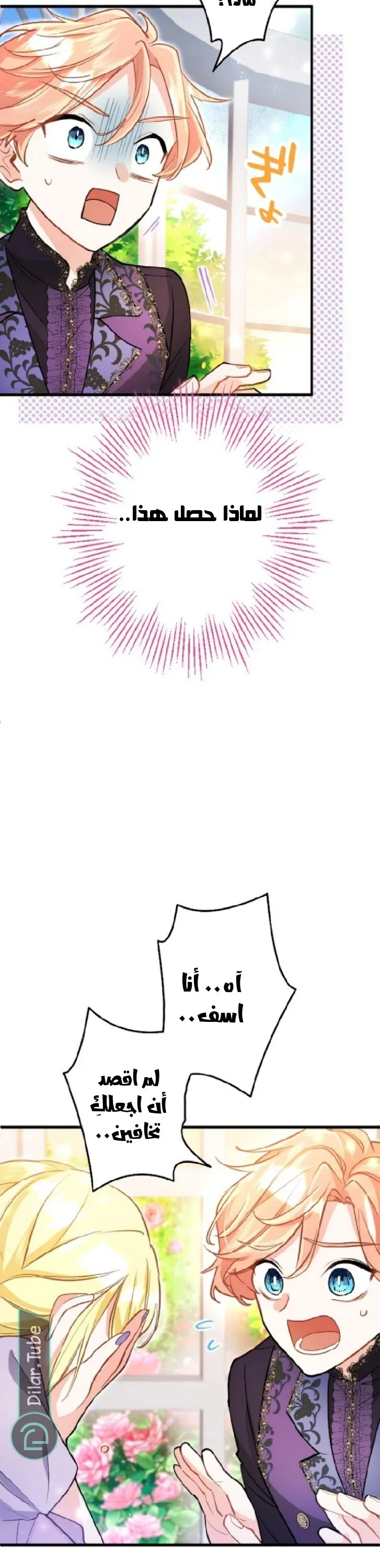 الصفحة 17